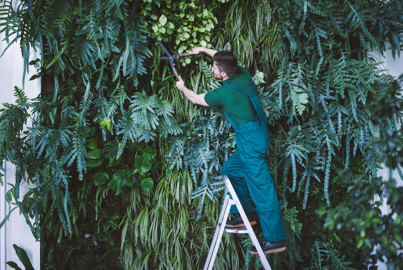 Maintenance - Vertical Impact