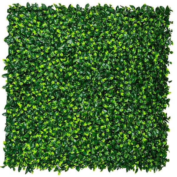 Jasmine Hedge Screen Green Wall