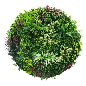 Slimline Artificial Green Wall Disc Art Colour Fresh