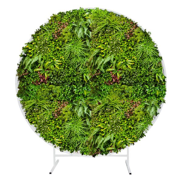 Artificial Country Fern Recycled Backdrop Stand