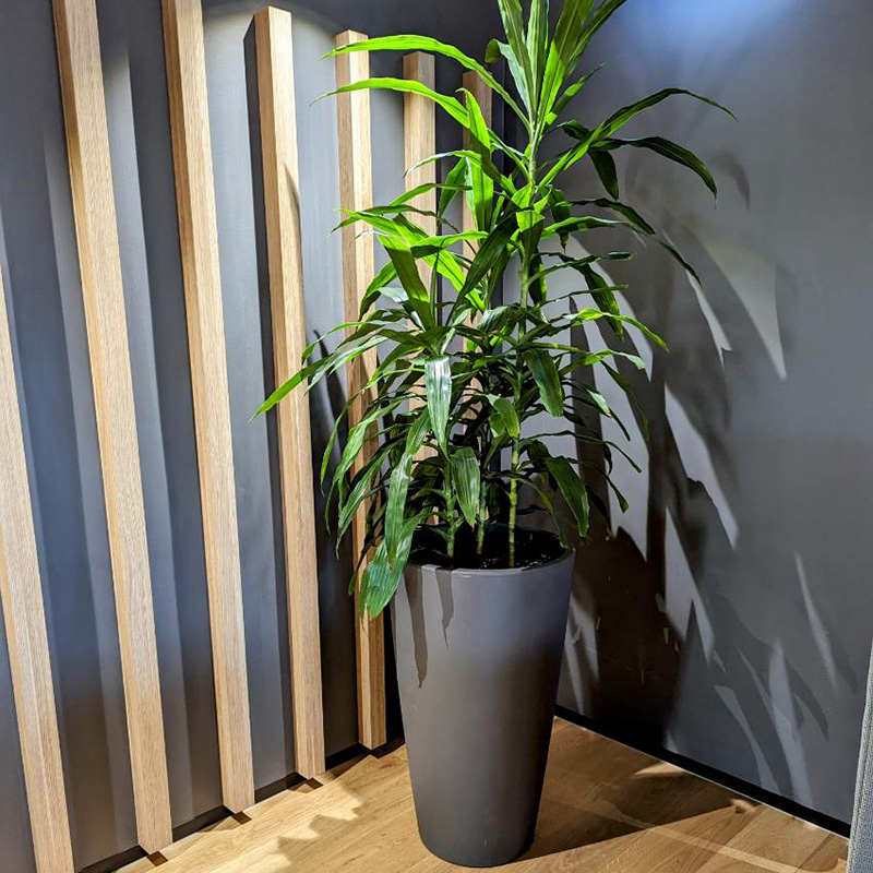 Inspiration Gallery Image - Vertical Impact