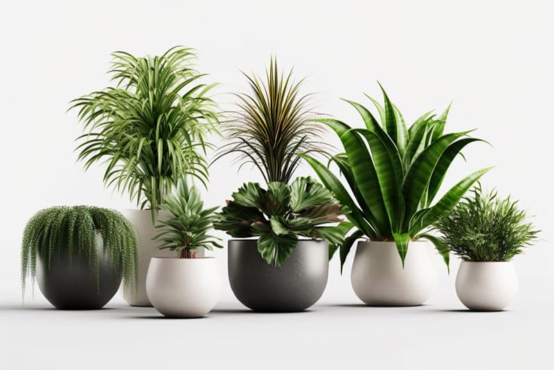 Artificial plants services