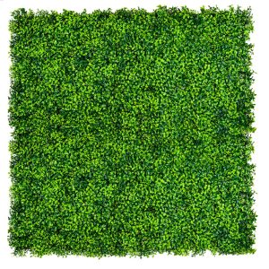 Mixed Boxwood Hedge Panels