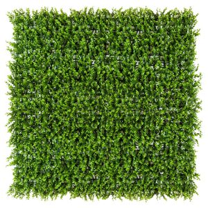 Natural Buxus Hedge Panels