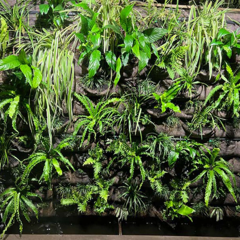 Organic Wall Garden Image Organic Wall Garden Image