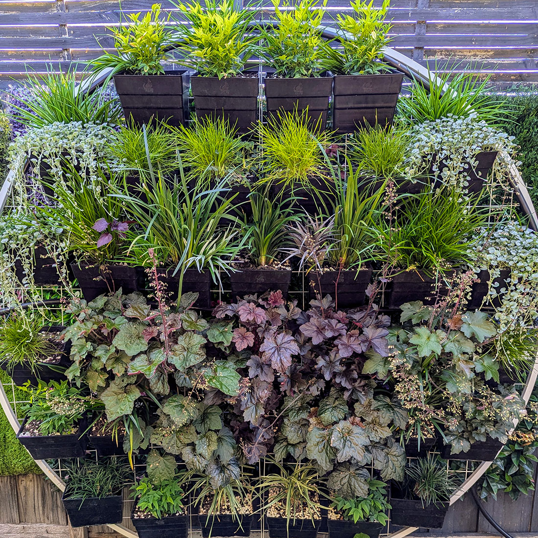 living wall vertical gardens Vertical Impact living wall vertical gardens Vertical Impact