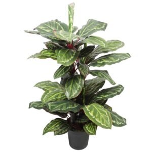 Artificial Wide Leaf Cordyline Plant